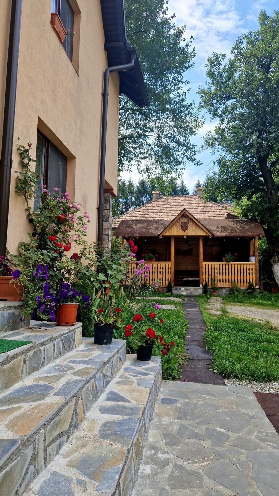 Casa Dorina Bran (Brasov) Exterior foto